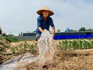 范县：及时保灌助夏种