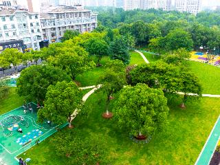 合肥滨湖明珠体育公园“绣”出绿意新图景