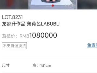 大火的LABUBU: 有人愿花百万买单 也有人 “整盒端”被骗
