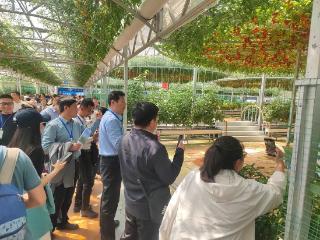 萝卜辣评|潍坊探索全民数字素养提升新路径