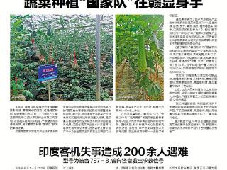 蔬菜种植“国家队”在赣显身手（图）