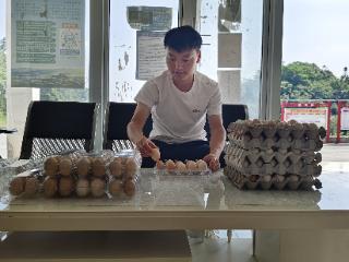 真帮实扶！百里杜鹃管理区两村“威宁鸡”产销两旺