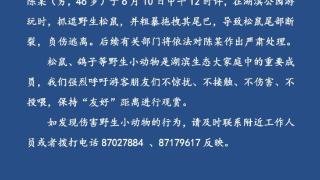 西湖边松鼠被伤害事件，官方发布最新情况说明