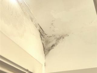外面下大雨家里下小雨 "平改坡"阁楼漏水怎么办？