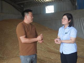 聚力夏粮收购 邮储银行临沂市分行金融绘就丰收答卷