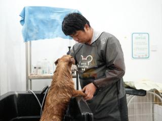 开宠物店是门好生意吗？