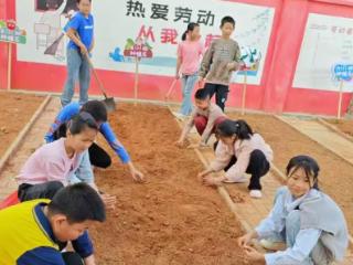 余干县金山咀中心小学劳动教育实践基地纪实