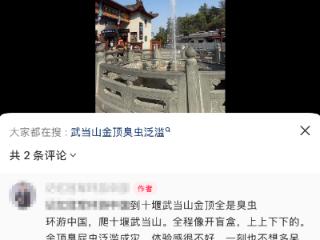 游客吐槽武当山上臭屁虫乱飞 景区回应：正在治理中
