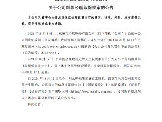 恒邦股份副总经理取保候审