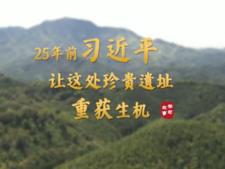 学习·故事丨25年前，习近平让这处珍贵遗址重获生机