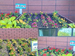 “绿野仙踪” 种植园成为学生们的 “成长乐园”