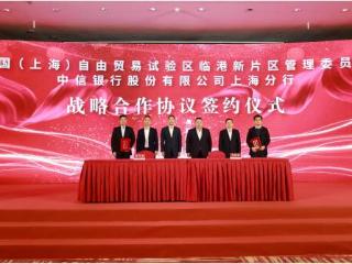 以创新链接世界，中信银行上海分行与临港共写金融新篇章
