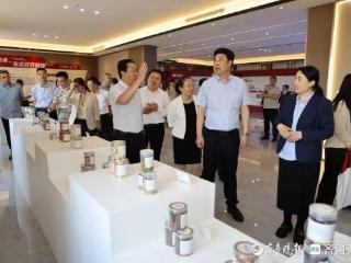 推介26个项目，第二届小城镇创新提升行动现场观摩会在青举行
