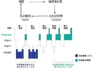 “秒睡”可能是病！北京大学人民医院青岛医院睡眠障碍门诊精准诊疗破解“嗜睡”谜团