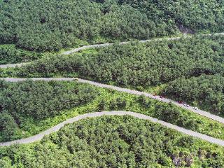 27年守山造林，成就6800亩林海奇迹｜毕节市威宁自治县东风镇末倮村党支部书记尹兴志了不起！