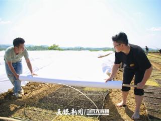 贵州影像故事（76）｜稻浪里的青春注脚