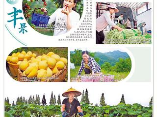 夏日好丰景（图）