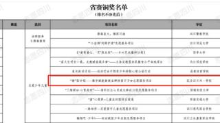 四川天一学院“‘新’苗计划”荣获2025年川渝大学生志愿服务项目大赛铜奖
