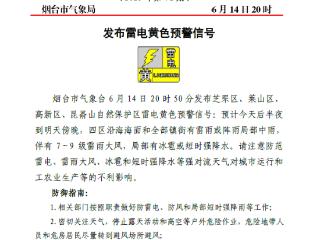 烟台发布雷电黄色预警！局部可能有冰雹或短时强降水