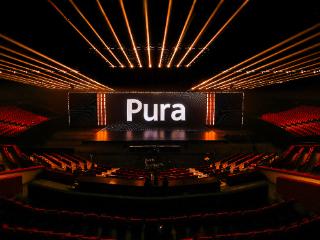 华为Pura 80系列首销，领Petal One权益，让影像创作不受限