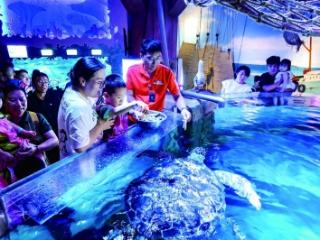 海洋日活动亲子探秘趣味多