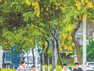 今明两天厦门仍会有强降水天气 市民要备好雨具