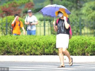 高温+雨！济宁未来一周天气预报来啦→