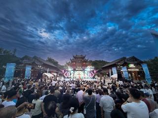 青春唱响栖霞山！2025“栖霞山下·夏日大学生唱响之夜”圆满落幕