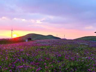 工行毕节赫章支行：执金融画笔 绘就文旅新图景