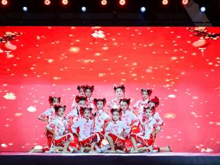 徐州市举办2025年「文化和自然遗产日」非遗宣传展演活动