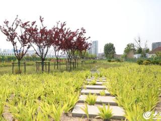 青岛西海岸新区：地下“治污堡垒”崛起 大卢河中水厂绘就城市绿色新图景