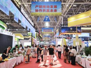 第二十一届粮食产销协作福建洽谈会圆满收官，成果丰硕亮点多