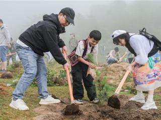 守护世界遗产：蚂蚁森林捐种树木保护“哈尼梯田”水源地