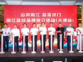签约超5000万元！津粤产销合作助阳江荔枝开拓京津冀市场