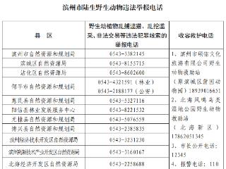 滨州市野生鸟类保护行动明白纸