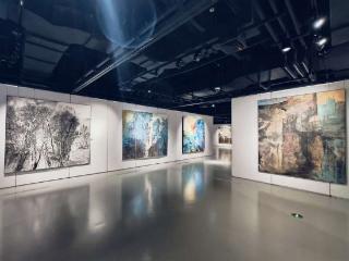 “墨彩新象——新水墨艺术展”在深圳举办