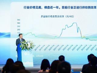 产能出清阻滞重重，多晶硅“以大收小”会是全行业走出困局的速效药吗？