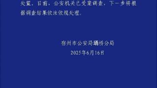 安徽一地上百亩土豆遭大批村民“哄抢”？警方通报