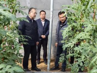 强农先锋丨郝建波：佳腾的富民之路