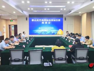 泰安市市场监管局组织召开泰山灵芝地理标志商标注册座谈会