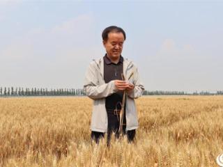 联农带农致富有道 建言献策为农代言 齐河县政协委员助力乡村农业发展