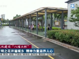文化建设“八项工程”丨文明之花开遍城乡 精神力量滋养人心