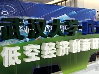 武汉大学·咸宁低空经济创新研究院签约成立
