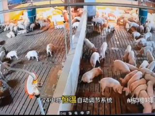 荔波：税务合规护航“智养”升级