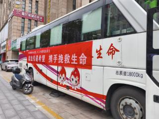 【世界献血日】启东，85人次，26000毫升！