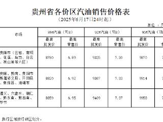 6月17日24时起油价上调 加满一箱92号汽油多花10.5元