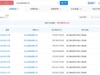 杉杉控股等新增被执行18.3亿元，创始人去世后“杉杉系”一蹶不振
