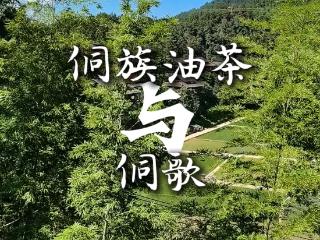 【视频】侗族油茶与侗歌