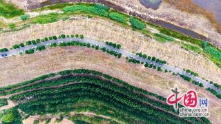 “自驾+”点燃鲁豫文旅共同体全新“引擎”