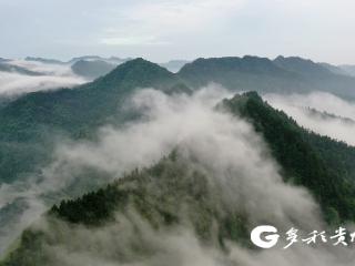 “川川、渝渝，来贵贵耍喔！凉快得很！”——习水发来邀请